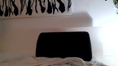 Media: Video of a minimalist bedroom featuring a black, upholstered headboard with white bedding partially covering it. A white wall with a large, black abstract painting is in the background. The room is well-lit with natural light, creating a serene and modern ambiance.