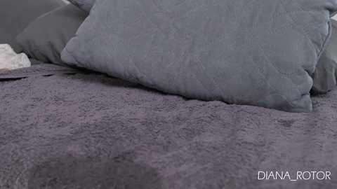 Media: Video of a cozy bedroom scene featuring a plush, gray quilted blanket with two matching pillows, one larger and one smaller, both in shades of gray, on a textured, dark gray bedspread. Text watermark reads \"DIANA RODOR.\