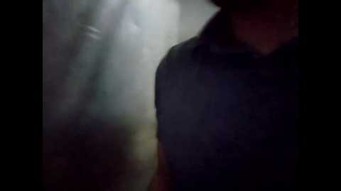 Media: A dimly lit video captures a person, partially obscured, wearing a dark shirt, standing in front of a foggy window, with indistinct shadows and muted colors in the background.