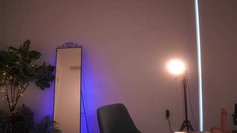 Media: Video of a dimly lit room with a large, ornate mirror on a plain wall. A green chair and a potted plant are visible to the left, while a bright spotlight illuminates the right side.