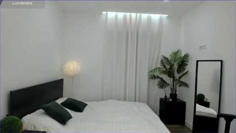 Media: Modern bedroom with a minimalist design, featuring a white bed with green pillows, a large potted plant, a tall floor lamp, and a full-length mirror.