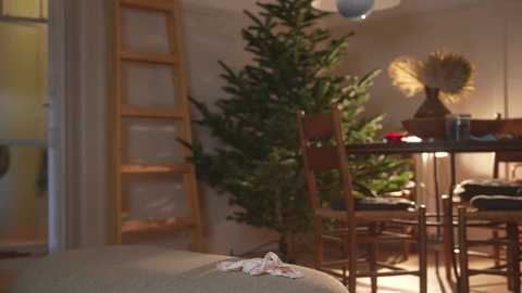 Media: Video of a cozy living room with a partially decorated Christmas tree, wooden dining table, and a ladder against a white wall.