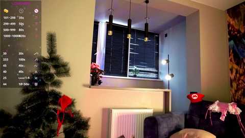 Media: Video of a cozy living room with a Christmas tree adorned with red ribbons and ornaments, a radiator, and a dark sofa. The background shows a window with blinds and a modern lamp.