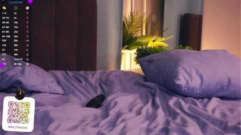 Media: Video of a messy purple bed with rumpled sheets, a black remote control, and a potted plant in the background.