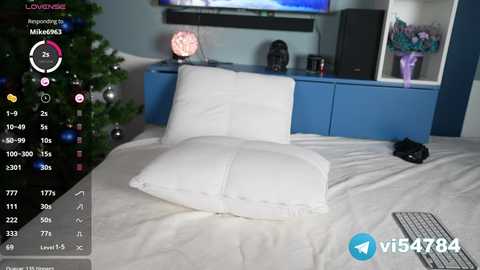 Media: A video of a tidy bedroom with a white pillow and a black camera on a bed, a Christmas tree, and a blue dresser.