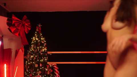 Media: Video of a Christmas tree adorned with lights and a large red bow, set against a dark backdrop with a faintly visible person in the right foreground.