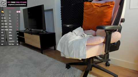 Media: A video of an orange cushioned chair with a light blanket draped over it, placed beside a black TV stand with a flat-screen TV, and a black acoustic panel backdrop.