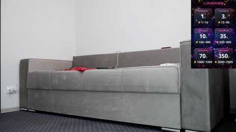 Media: Video of a modern, minimalist living room with a grey sectional sofa, red blanket, white walls, and a video game screen displaying stats.