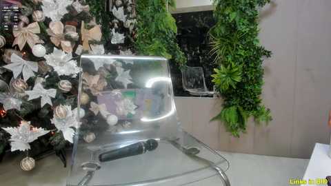 Media: Video of a modern interior with a transparent acrylic chair and a lush green plant wall adorned with white and beige floral decorations.