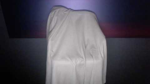 Media: Video of a white, draped cloth covering a figure seated in a dimly lit room with a dark, blurry background. The cloth's smooth texture contrasts with the shadowy environment.