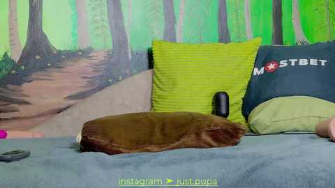 Media: A video shows a dog sleeping on a bed with a green pillow and a mustard-colored pillow. The background features a forest mural.