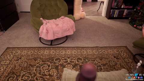 Video of a cozy living room with a green beanbag chair, beige carpet, and a patterned rug. A pink blanket is draped over the chair. A large beige cat tower stands in the background.