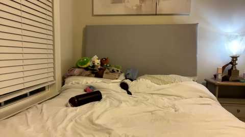 Media: A video of a messy bedroom with white bed linens, stuffed toys, a water bottle, and a dark object on the bed. The headboard is gray, and a lamp with a white shade is on the nightstand.