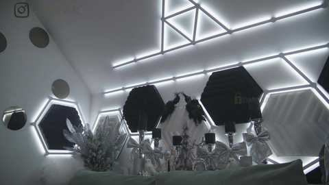 Media: Video of a modern room with hexagonal white LED lights, black and white hexagonal ceiling panels, and a festive table decorated with silver ornaments and a Christmas tree.