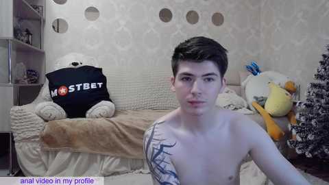 Media: Video of a young, pale-skinned, shirtless man with short dark hair in a cozy, patterned room with plush toys and a draped bed.