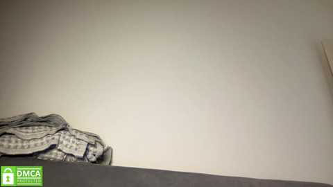 Media: Video of a bare, off-white wall with a grey and white patterned blanket folded at the bottom. The image has a \"DCA\" logo in the lower left corner.