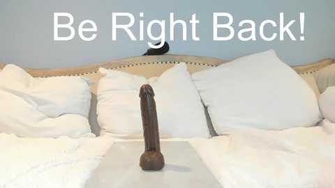 Media: A video of a neatly made bed with white sheets and pillows, featuring a large, dark wooden dildo on the center, against a light blue wall with the text \"Be Right Back!\" above.