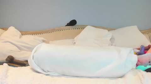 Media: A video of a neatly made bed with white pillows and a beige headboard against a light blue wall. A black cat is perched on the pillows, looking downward.