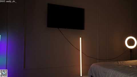 Media: A video of a dimly lit bedroom featuring a flat-screen TV on the wall, a glowing neon lamp, and a bed with white sheets, with a watermark in the bottom left corner.