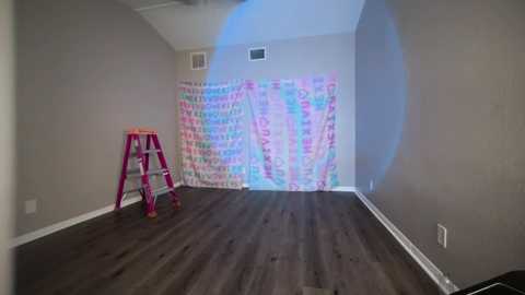 Media: A video of a bare, rectangular room with light gray walls, dark wooden floor, and a pink step ladder in the left corner. A colorful, patterned curtain covers the back wall, partially reflecting a circular lens flare.