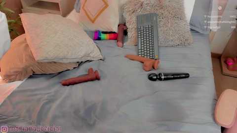 Media: Video of a bed with a blue sheet, featuring a rainbow dildo, two dildos, a remote, and a stuffed animal, in a cozy, pink-themed room.