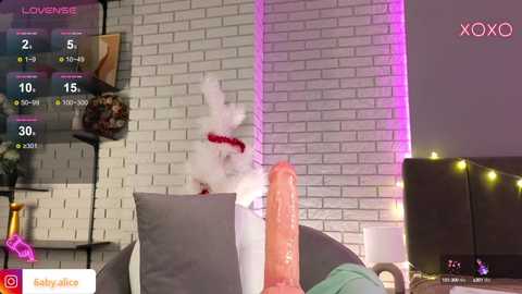 Media: Video of a woman wearing a bunny suit, lying on a bed with a large, realistic dildo, in a dimly lit room with a white brick wall and purple lights.