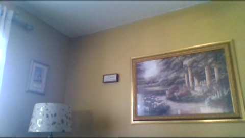 Media: Video of a beige-walled room featuring a framed landscape painting with a rustic scene, a framed certificate, and a white lamp with a floral pattern.