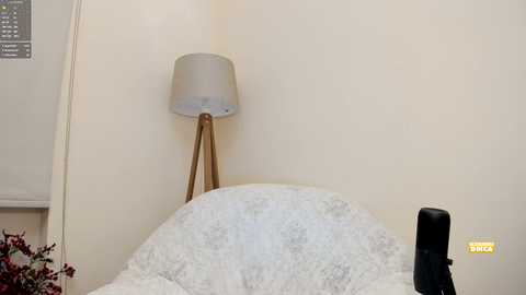 Media: A video of a minimalist, modern bedroom corner featuring a beige wall, a round, white, textured pillow, a wooden tripod lamp with a translucent shade, and a black item partially visible on the right.