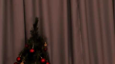 Media: Video of a small, decorated Christmas tree with red baubles and gold ornaments, set against a background of vertical, pale pink curtains. The scene is softly lit, creating a warm, cozy atmosphere.