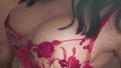 Media: Video of a woman's cleavage, showing a red lace bra with intricate floral embroidery. Her fair skin contrasts with her dark hair, creating a sensual, intimate atmosphere.