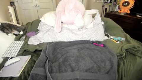 Media: Video of a messy bedroom with a gray blanket, a pink towel, a stuffed bunny, and a purple cat.