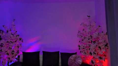 Media: A video of a dimly lit room with a purple glow, featuring a black sofa with decorative pillows, adorned with cherry blossom branches and a circular pillow. The background is a plain white wall.