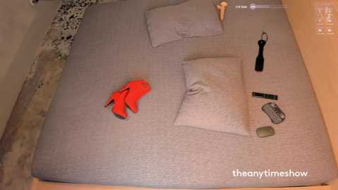 Media: A video showing a neatly made bed with gray bedding, a red shoe, remote control, and a black hairbrush placed on the duvet.