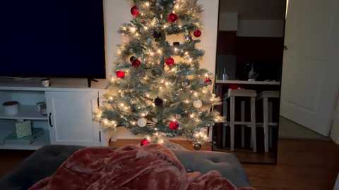 Media: Video of a cozy living room with a lit Christmas tree adorned with red and gold ornaments, a plush blanket, a flat-screen TV, and a dark wooden doorway.