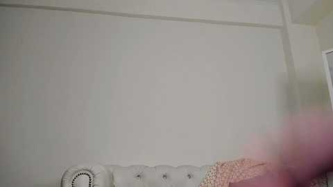 Media: A video of a beige wall with a tufted, light gray couch and a partially visible person in the foreground, wearing a pink shirt.