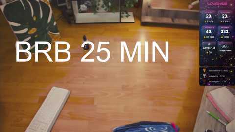 Video of a wooden floor, featuring a green chair, a white laptop, and a blue notebook. Text overlay reads \"BRB 25 MIN.\