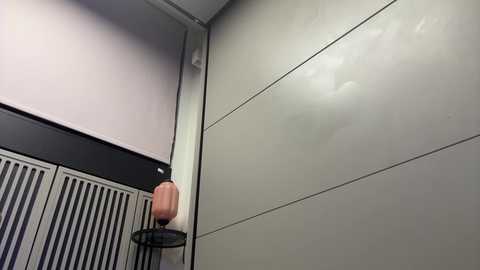 Media: Video of a modern, minimalist bathroom with a white, tiled wall and a beige, textured radiator. A small, beige hand towel dispenser is mounted on the left side. The ceiling is flat and white, with a simple light fixture.