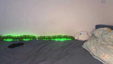 Media: A video of a dimly lit bedroom with a gray bedspread, a white pillow with blue eyes, a green string of lights, and a black object on the floor.