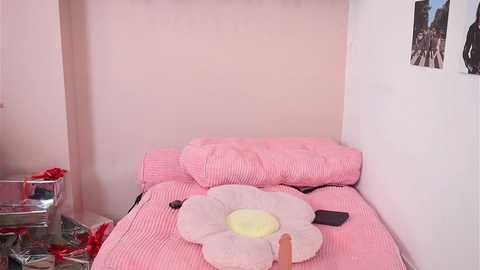 Media: Video of a small, cozy bedroom with pink walls, a single bed covered in a pink, flower-patterned blanket, and a framed photo on the right.