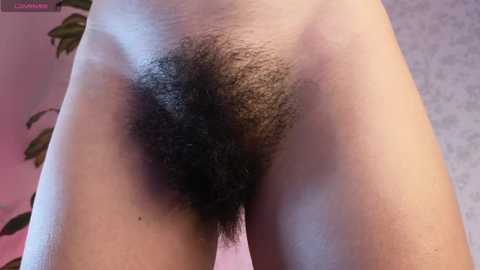 Media: Video of a light-skinned person's pubic region with a natural, dense patch of dark pubic hair. The background is a blurred, pinkish wall with green foliage on the left.