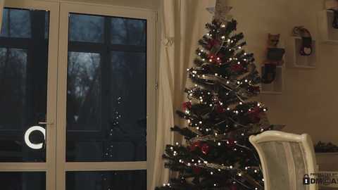 Media: A video of a cozy, dimly lit room with a decorated Christmas tree adorned with twinkling lights and ornaments. A white-framed glass door with a circular handle is visible in the background.