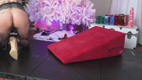 Media: Video of a woman in black lingerie kneeling on a black mat, facing away, with a red cushion and a colorful sex toy display in the background.