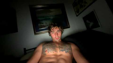 Media: Video of a shirtless man with a muscular build and curly hair, sitting in a dimly lit room with framed paintings on the wall.