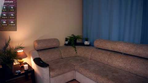 Media: A video of a dimly lit living room with beige sectional sofa, blue curtains, potted plants, a table lamp, and a TV remote on the armrest.