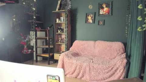 Media: Video of a cozy, eclectic living room with a pink, textured blanket-covered sofa, framed photos, dark teal walls, and a wooden shelf filled with books and decor.