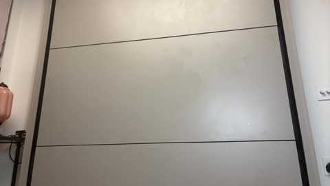 Media: Video of a closed, modern sliding door with a frosted glass panel and a visible watermark, set against a plain white wall. The door's frame is black, and a pink lamp is visible on the left side.