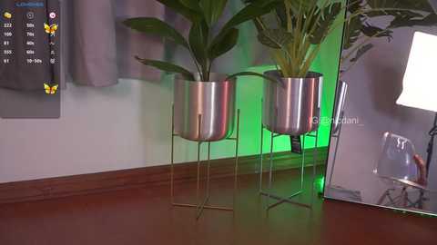 A video of two potted plants in metallic containers on a wooden desk, with a green light illuminating the background.