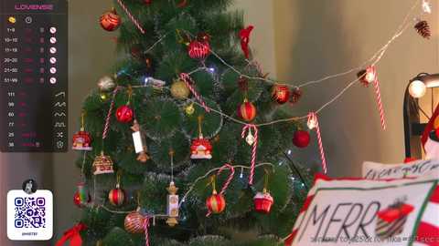 Media: Video of a Christmas tree adorned with red, gold, and green ornaments, a red and white striped garland, and a \"Merry Christmas\" pillow.