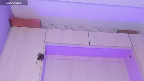 Media: Video of a small, white, fluffy cat perched on the edge of a white, open cabinet in a room with purple lighting. The cabinet has a light wooden texture, and the cat's fur contrasts against the smooth, clean surfaces.