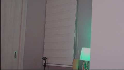 Media: A video of a dimly lit room featuring a white window with blinds, a small lamp with a green lampshade, and a black camera tripod. The walls are painted in light colors, creating a serene, minimalist ambiance.